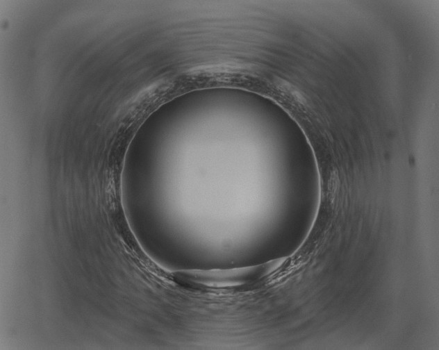 X0000066011062200603061252