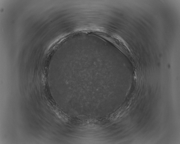 X0000066011064200603061252