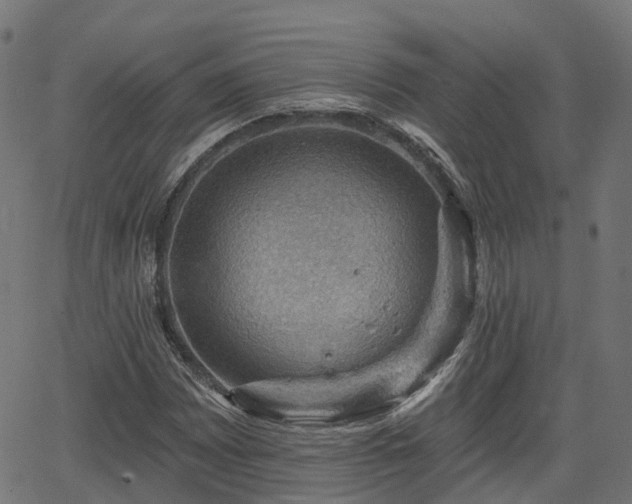 X0000066011065200603061252