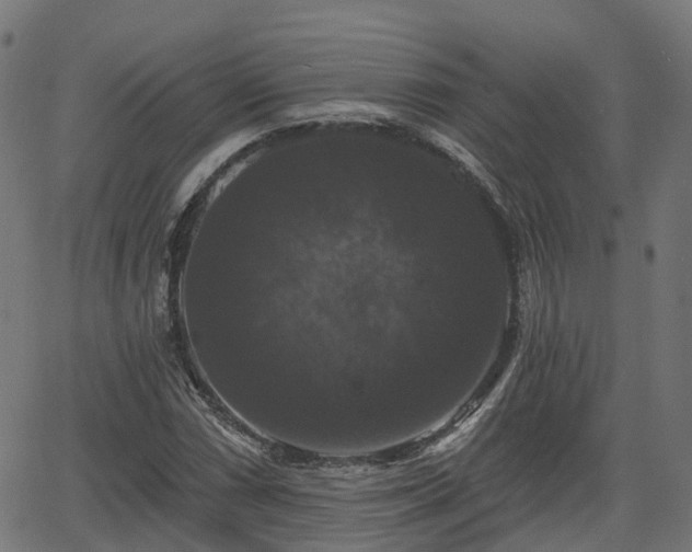 X0000066011066200603061252