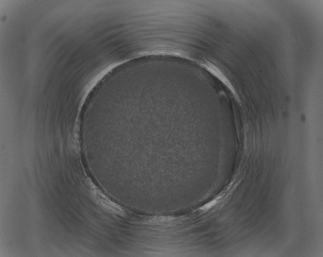 X0000066011068200603061252