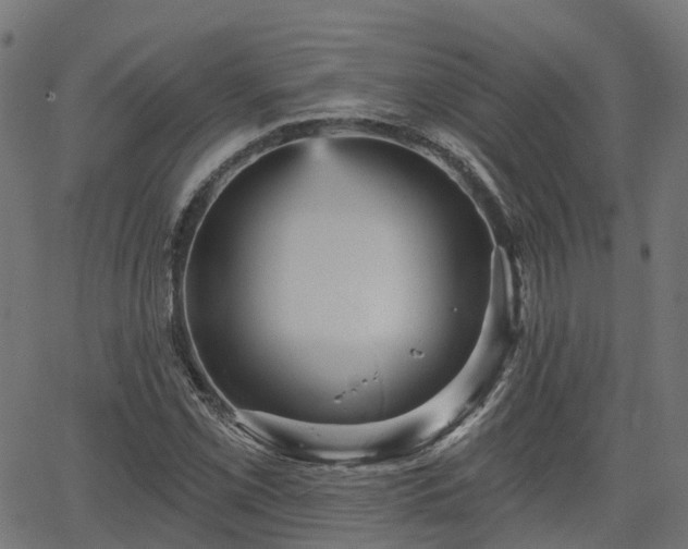 X0000066011069200603061251