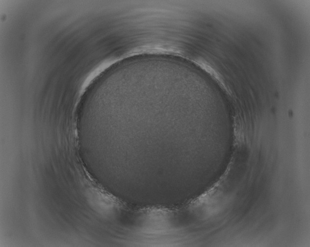 X0000066011070200603061251