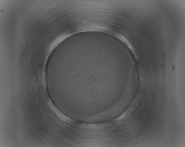 X0000066011072200603061251