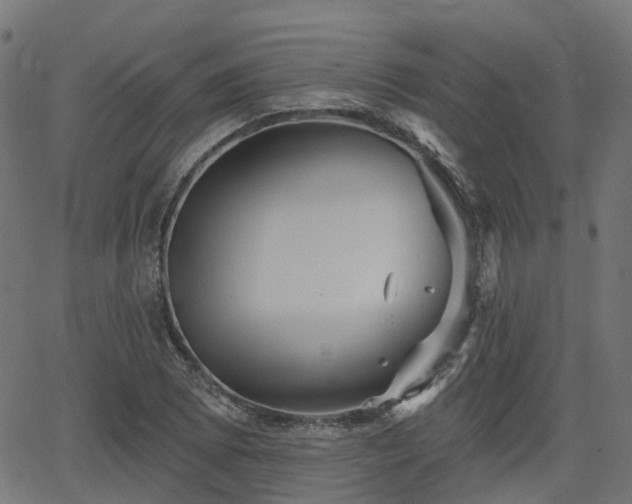 X0000066011073200603061251