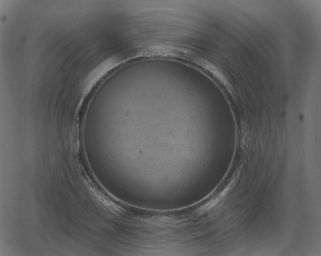 X0000066011075200603061251