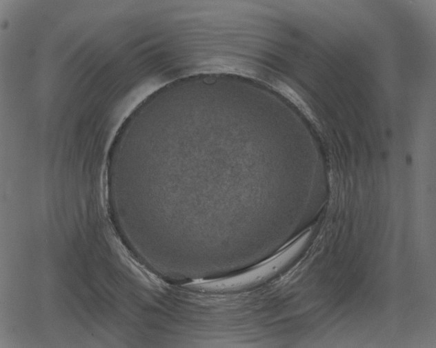 X0000066011076200603061251