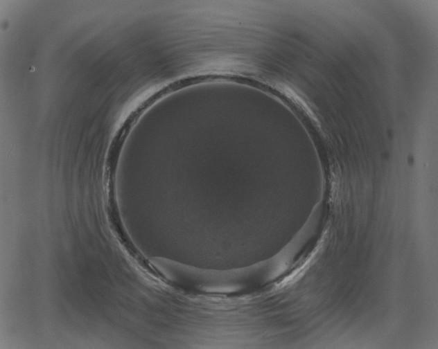 X0000066011077200603061251