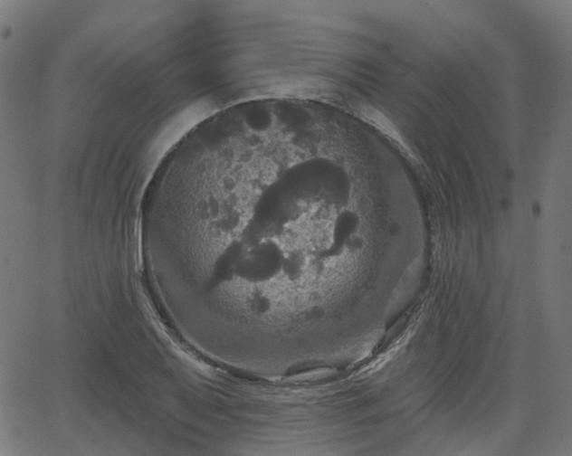 X0000066011079200603061251