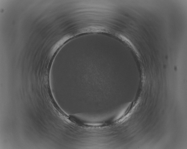 X0000066011081200603061251