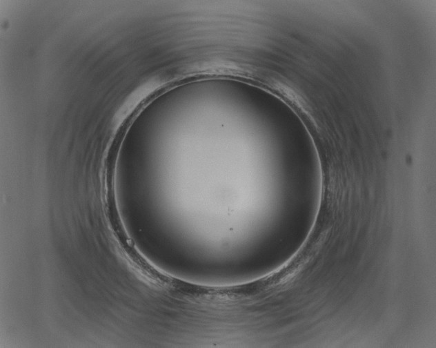 X0000066011082200603061251