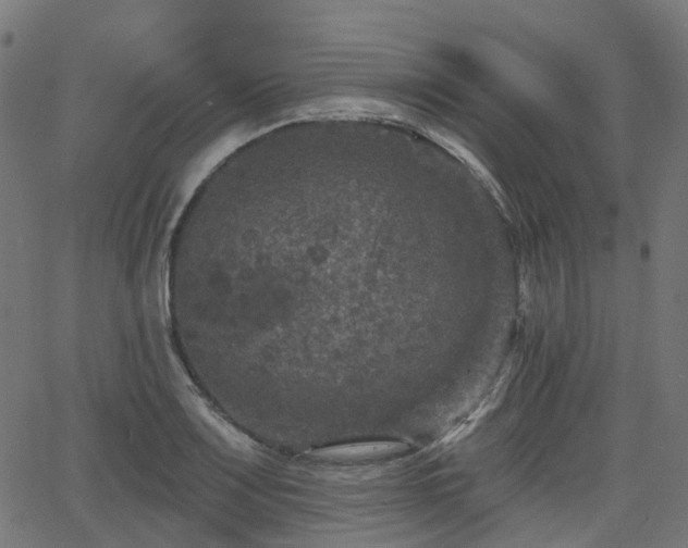 X0000066011083200603061251