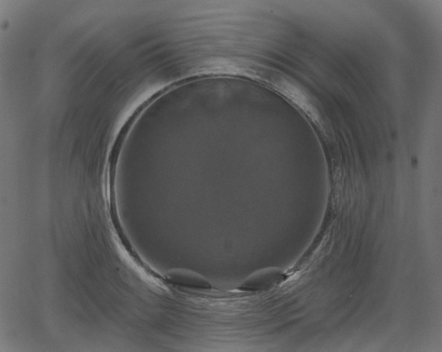 X0000066011084200603061251