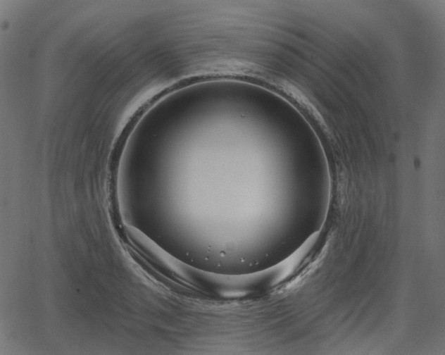 X0000066011085200603061251