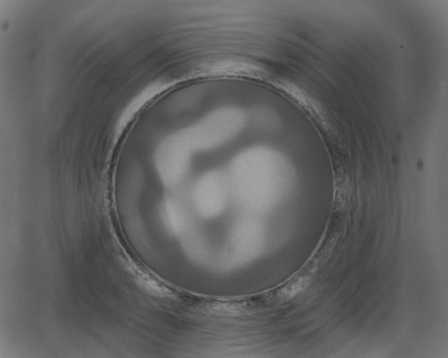 X0000066011086200603061251