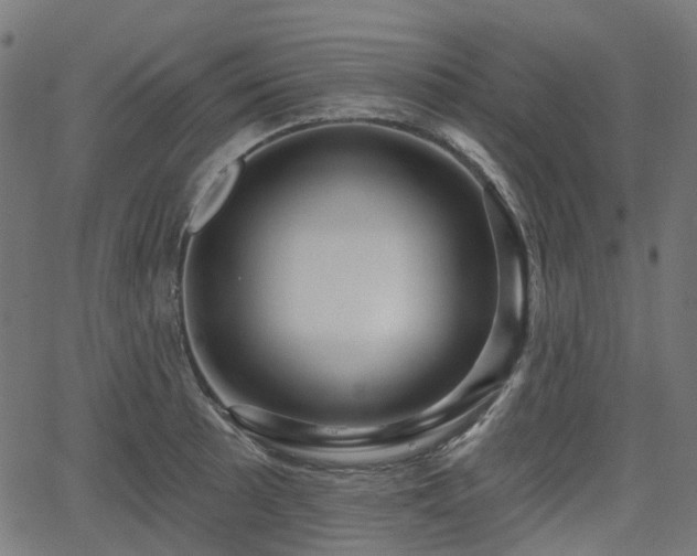 X0000066011089200603061251