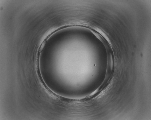 X0000066011093200603061251