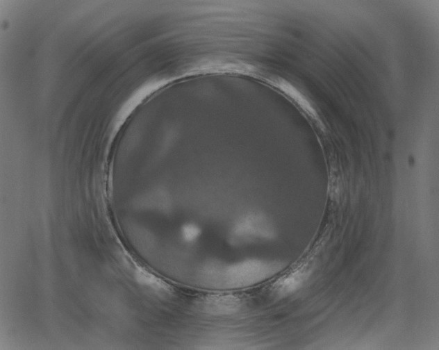 X0000066011094200603061251