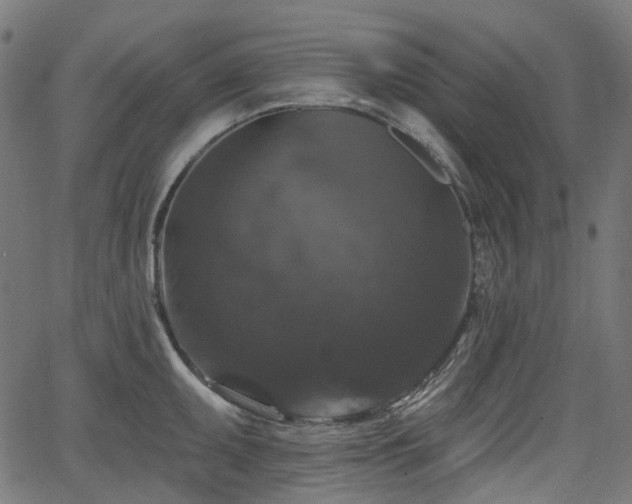 X0000066011095200603061251