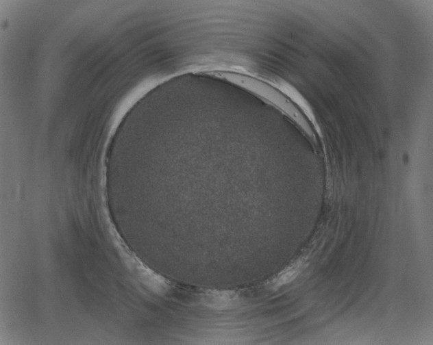 X0000066011096200603061251