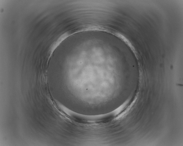 X0000066011097200603061251