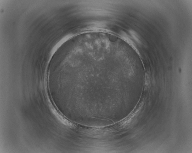 X0000066011098200603061251