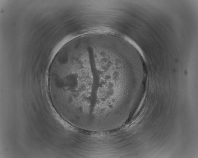 X0000066011099200603061251