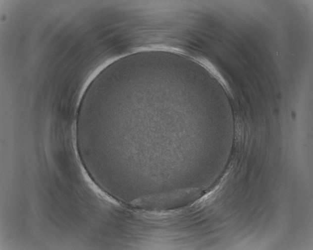 X0000066011100200603061251