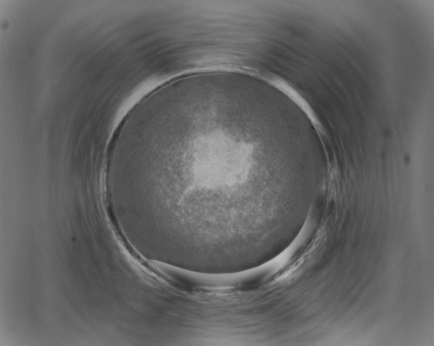 X0000066011101200603061251