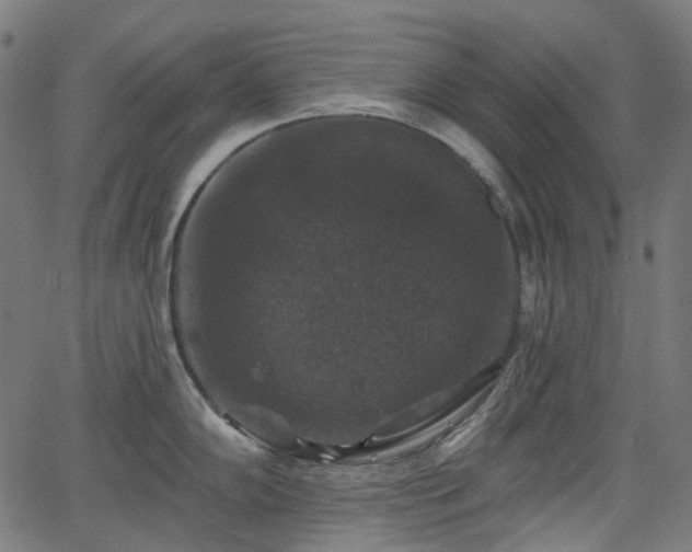 X0000066011102200603061251