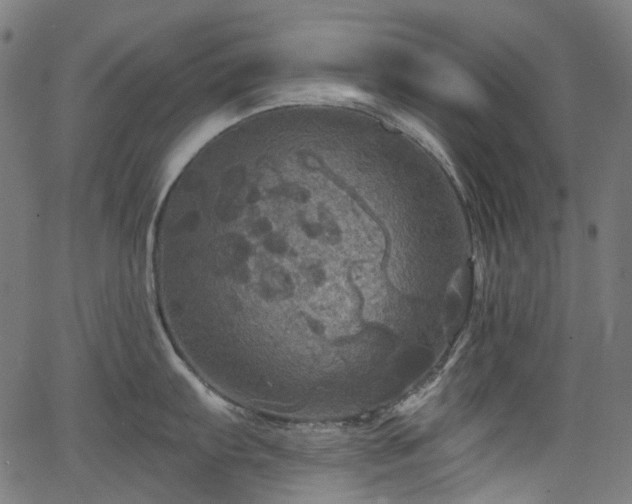 X0000066011103200603061251