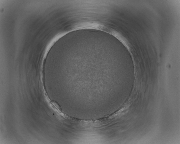 X0000066011104200603061251