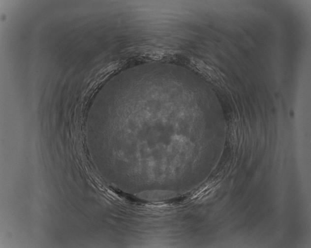 X0000066011105200603061250