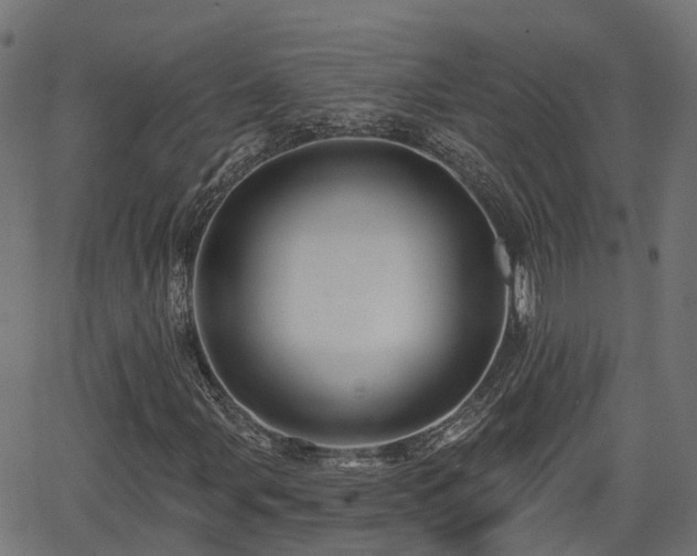 X0000066011107200603061250