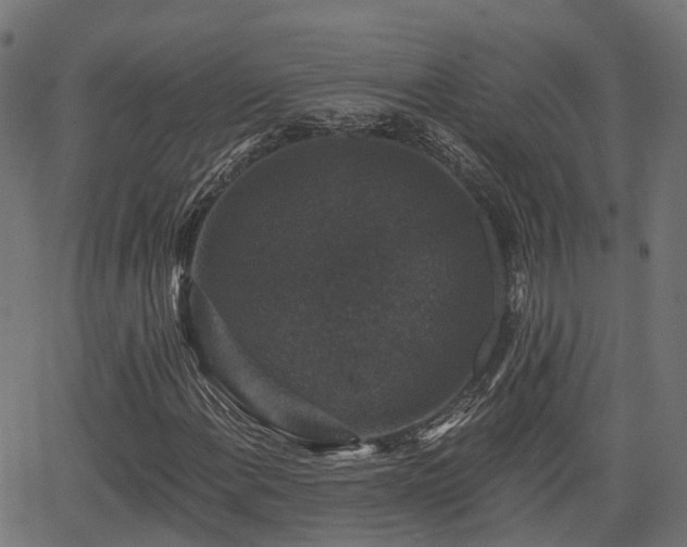 X0000066011108200603061250