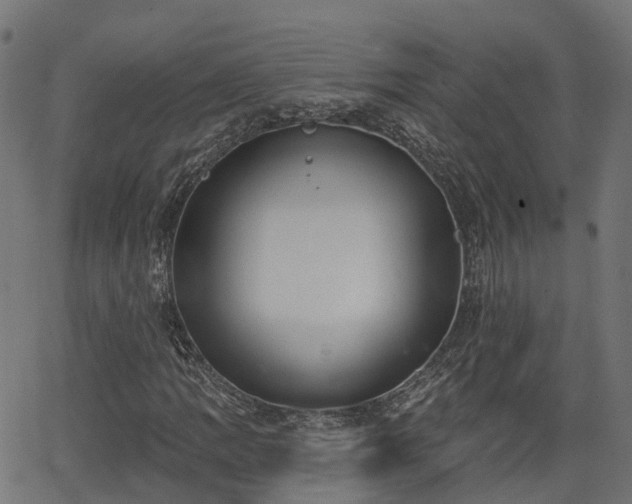 X0000066011109200603061250