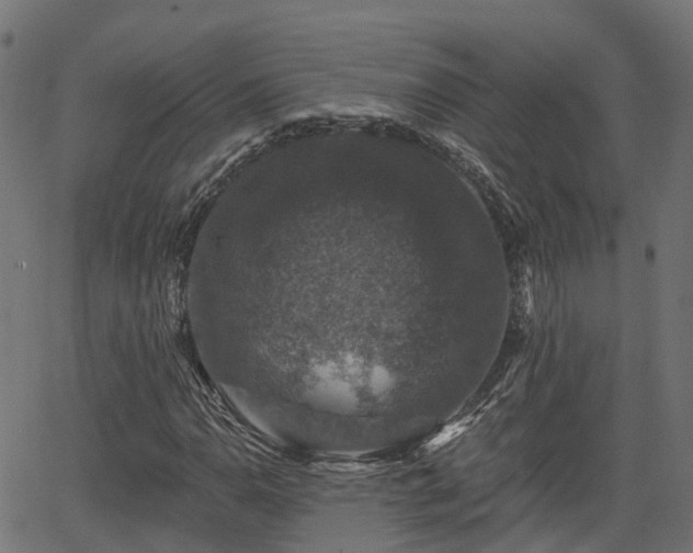 X0000066011110200603061250