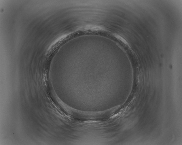 X0000066011112200603061250