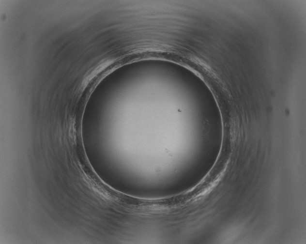 X0000066011113200603061250