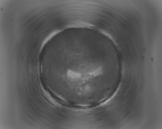 X0000066011114200603061250