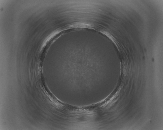 X0000066011115200603061250