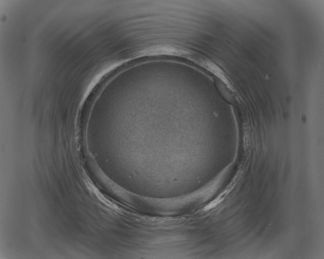 X0000066011116200603061250