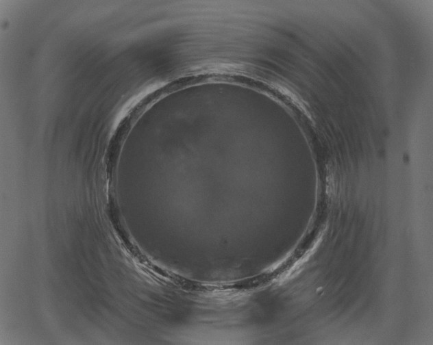 X0000066011117200603061250