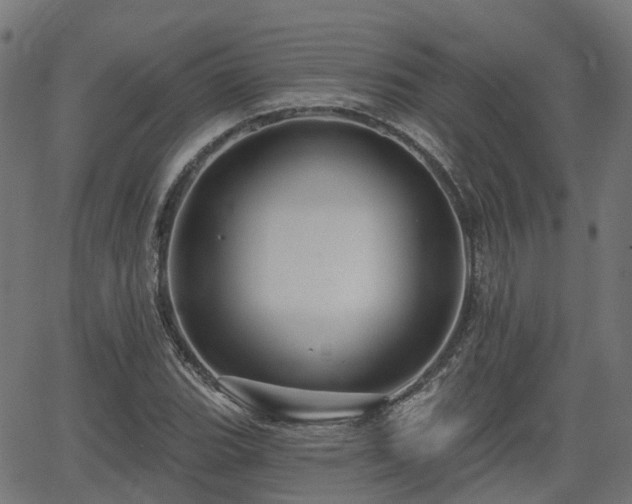 X0000066011119200603061250