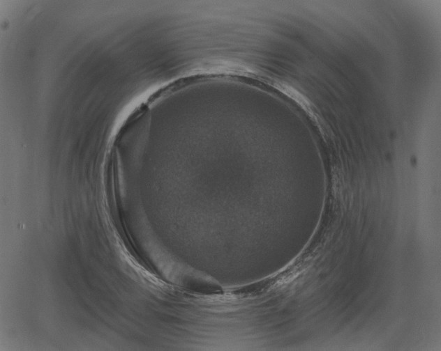 X0000066011120200603061250