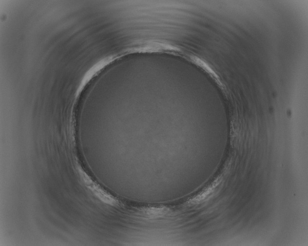 X0000066011122200603061250