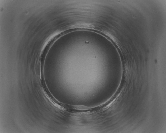 X0000066011123200603061250