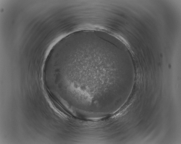 X0000066011128200603061251