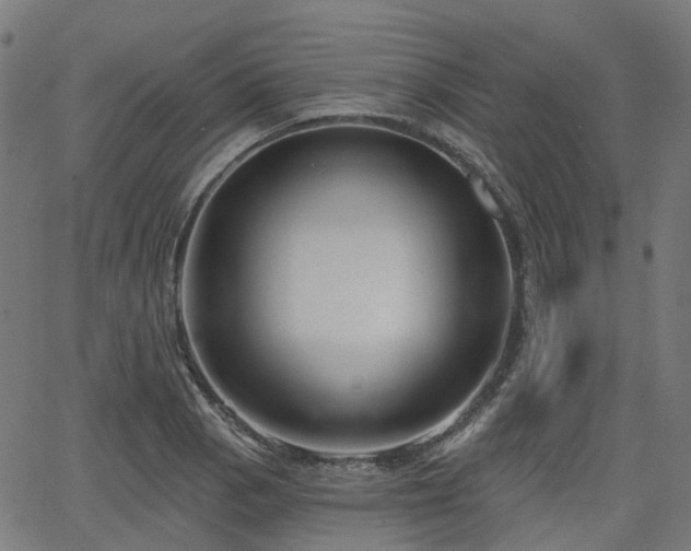 X0000066011129200603061251