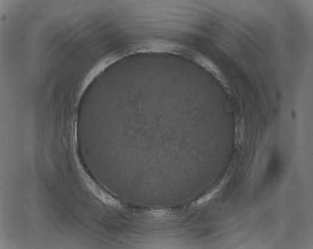 X0000066011130200603061251